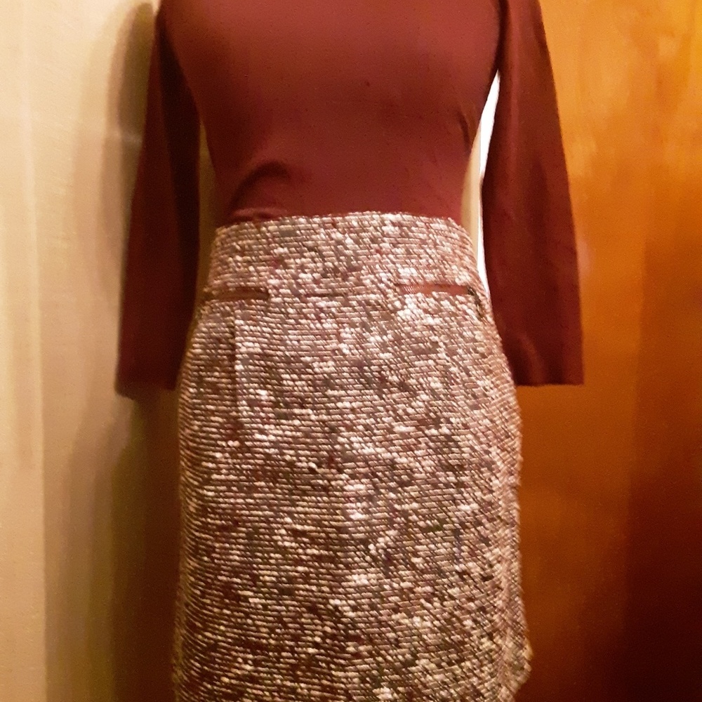 Ann Taylor Loft Skirt
